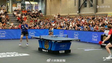 概率就会站 概率就会站